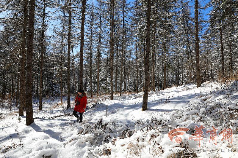 县域共青团基层组织改革丨青山区：团组织赋能，让青年当主角