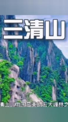 逃离蜥蜴森林