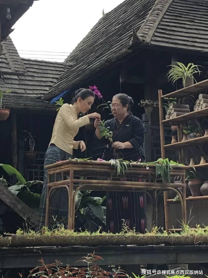 喜欢善良的女生，但是自己不善良怎么办？游戏画面