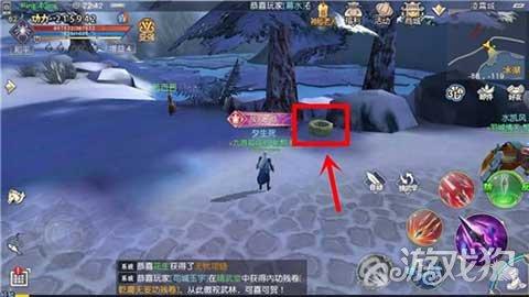 这只虎皮鹦鹉是公还是母?-知识星球,探索无限知识宇宙